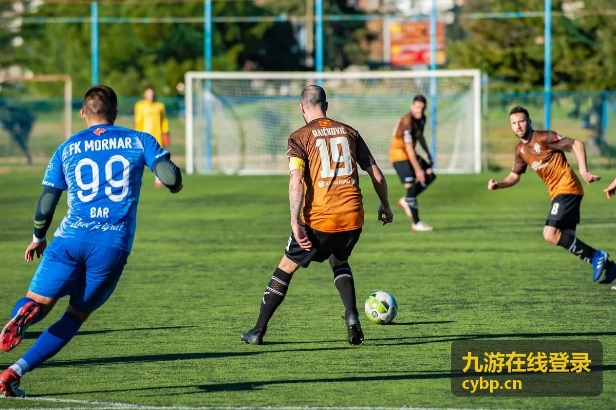 九游在线登录入口地址核对与账号填写界面